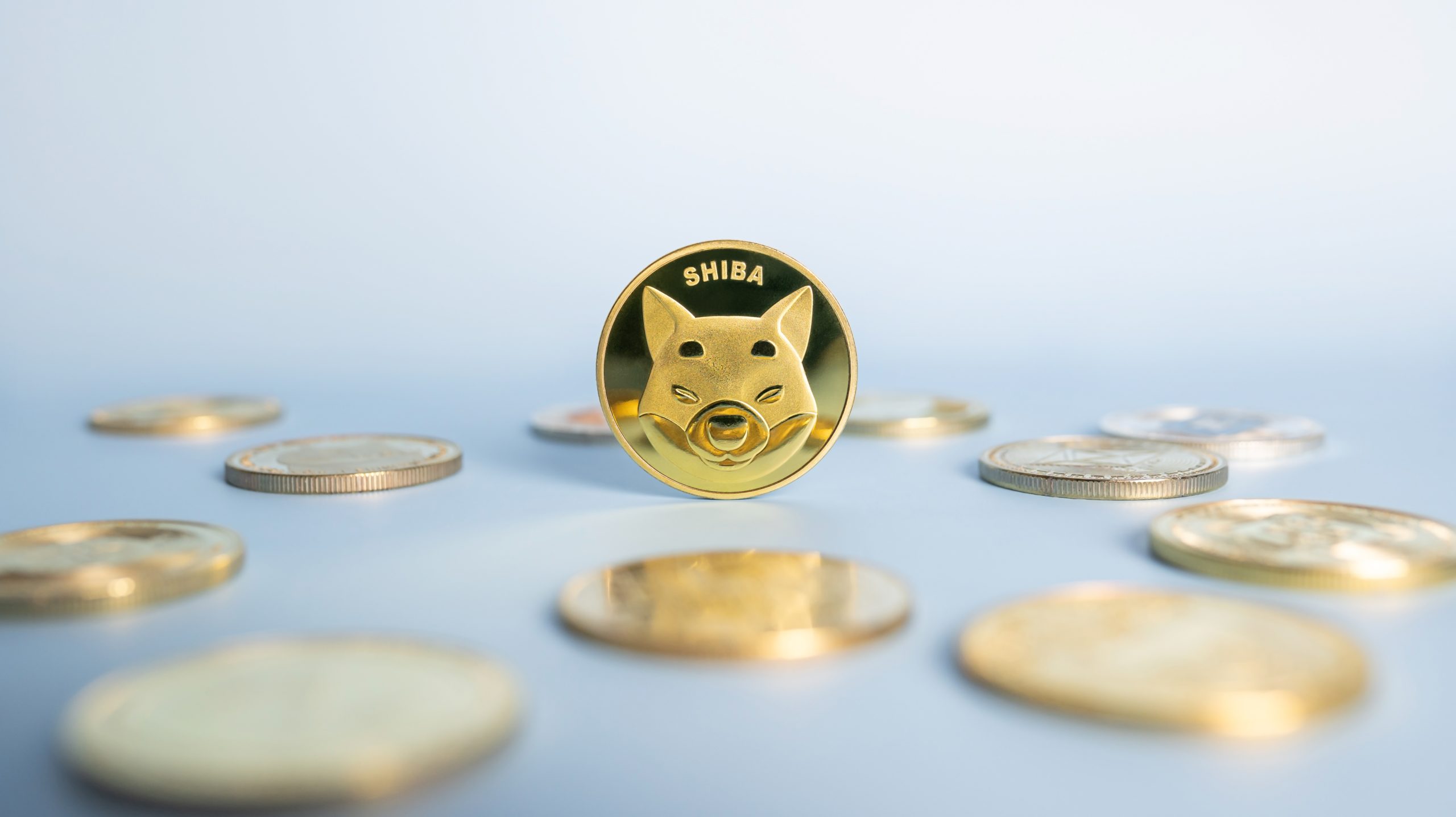 3 Things You Need to Know About Shiba Inu’s New Tokens