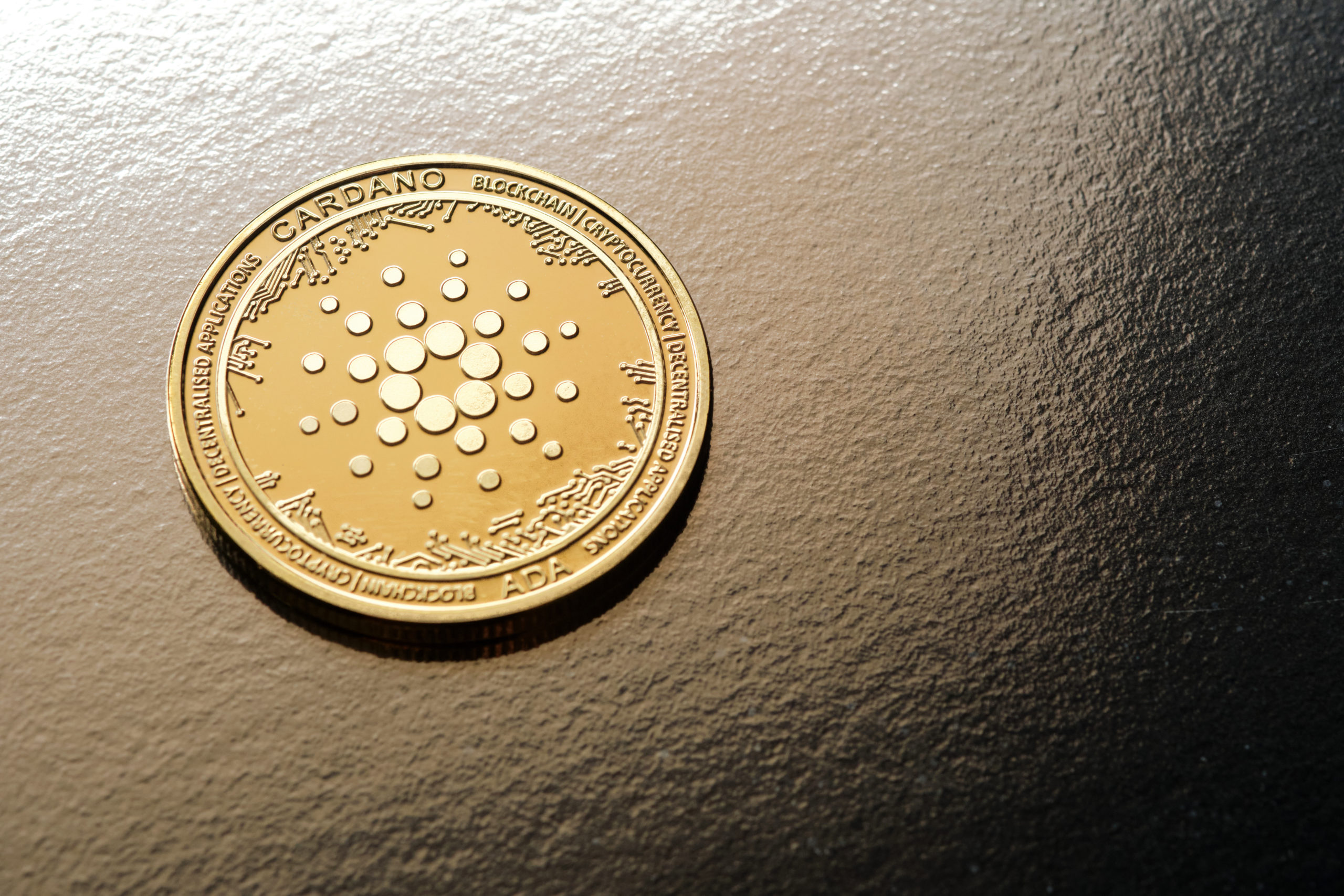 Cardano Founder Excited as First Round of Testing on Cardano Vasil Node Occurs