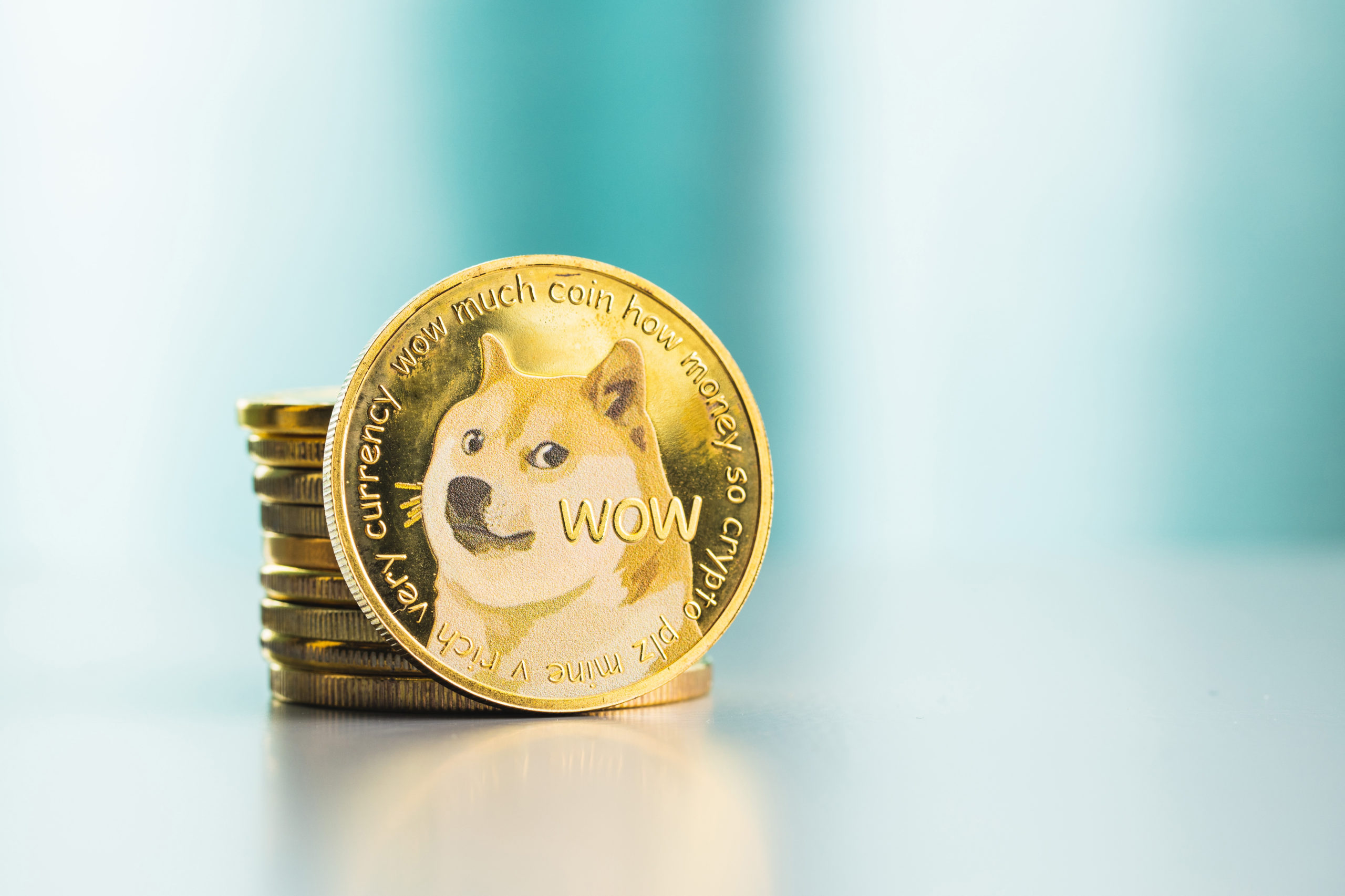 Dogecoin lost 93% of its value since the Musk’s SNL hype a year ago