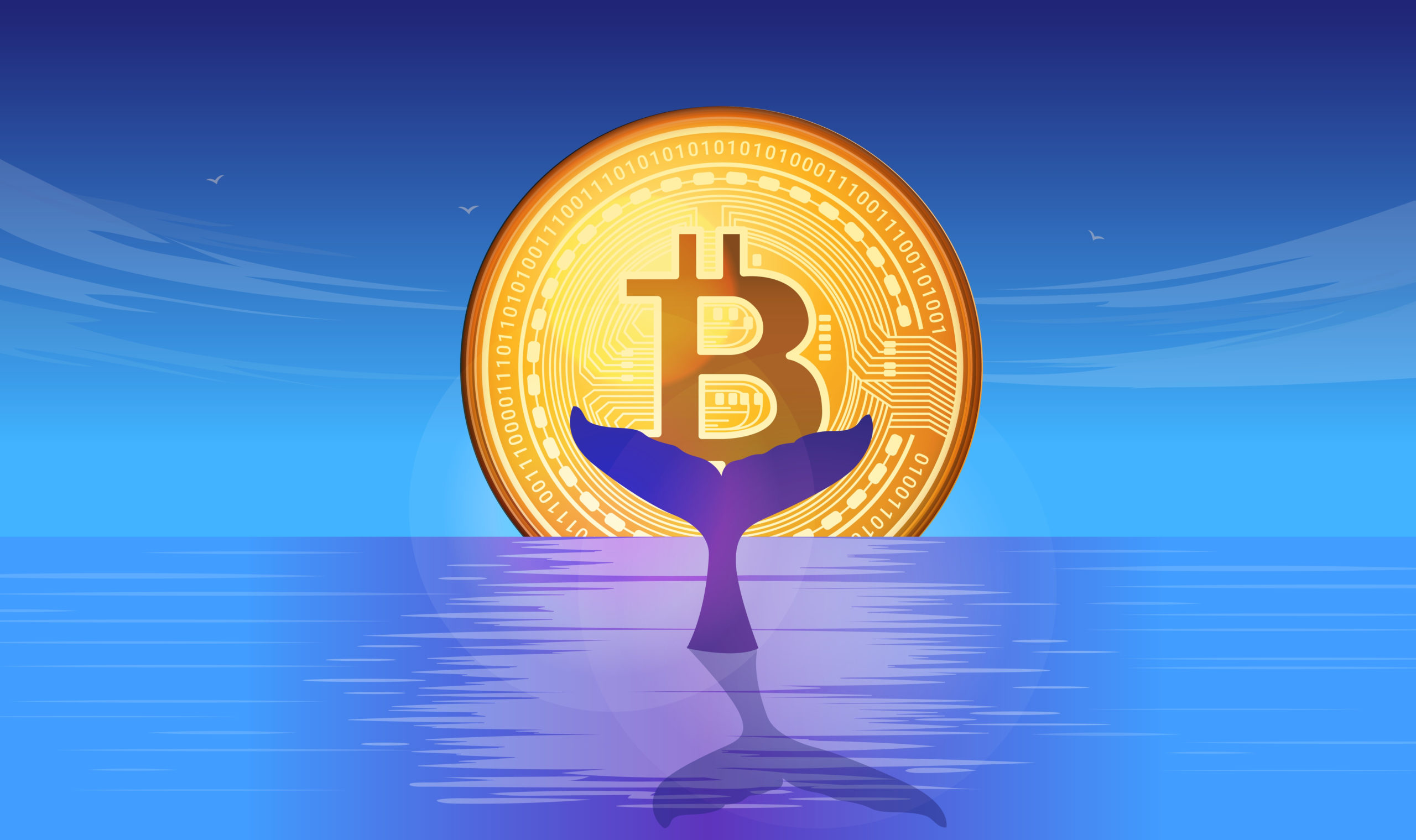 Mega Whales Are On A Bitcoin Shopping Spree — Now Own The Largest Supply Of BTC In A Year
