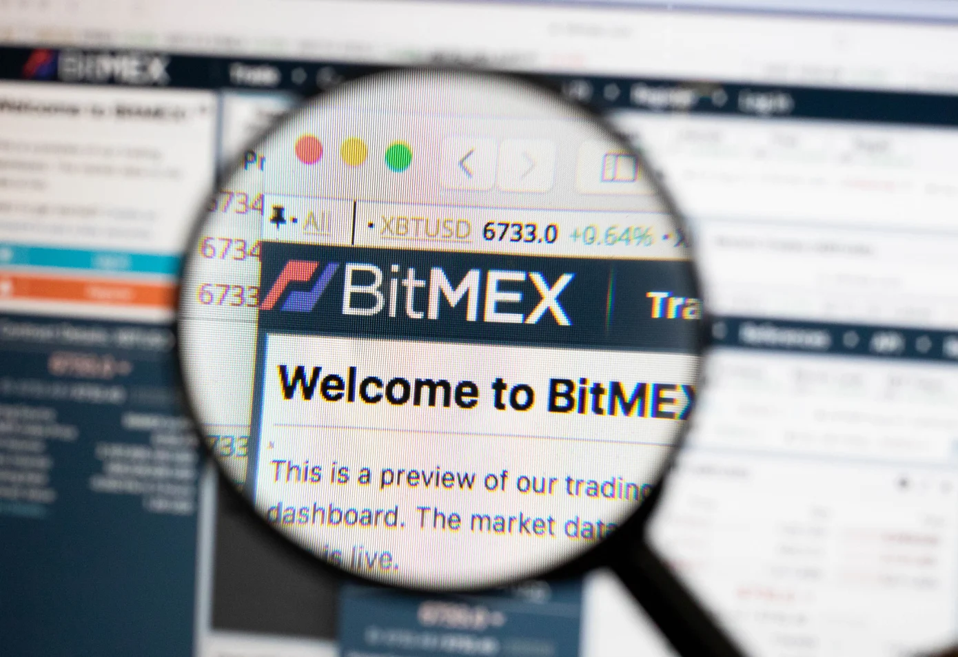 BitMEX crypto exchange lays off a quarter of staff after failed acquisition